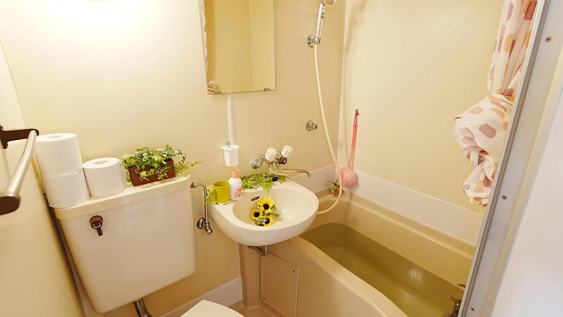 Apartament Sc Kameari 911 Tokio 0*,