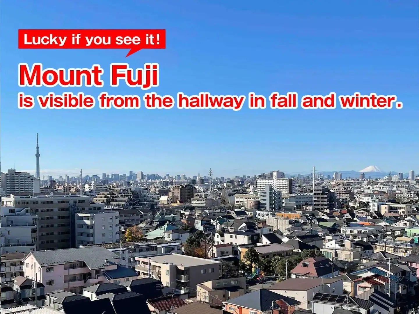 Apartament Sc Kameari 911 Tokio