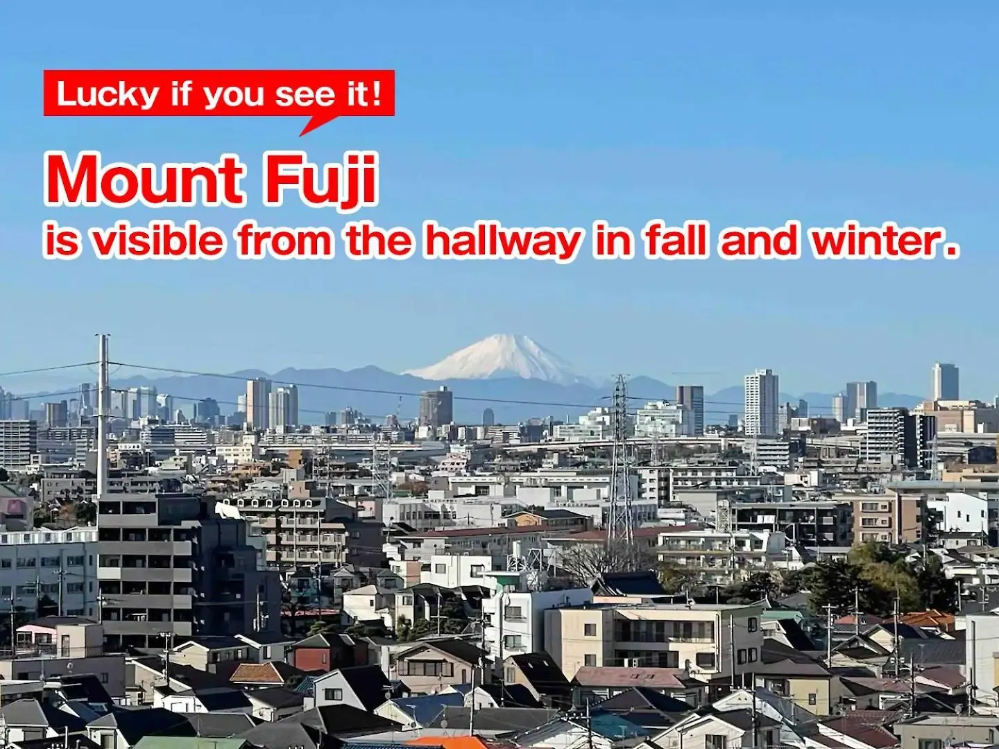 Apartament Sc Kameari 911 Tokio 0*,